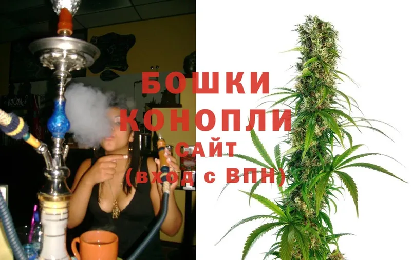 Бошки Шишки SATIVA & INDICA  купить наркотики сайты  Пушкино 